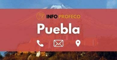 profeco citas|Profeco Puebla – Horario, teléfono y dirección